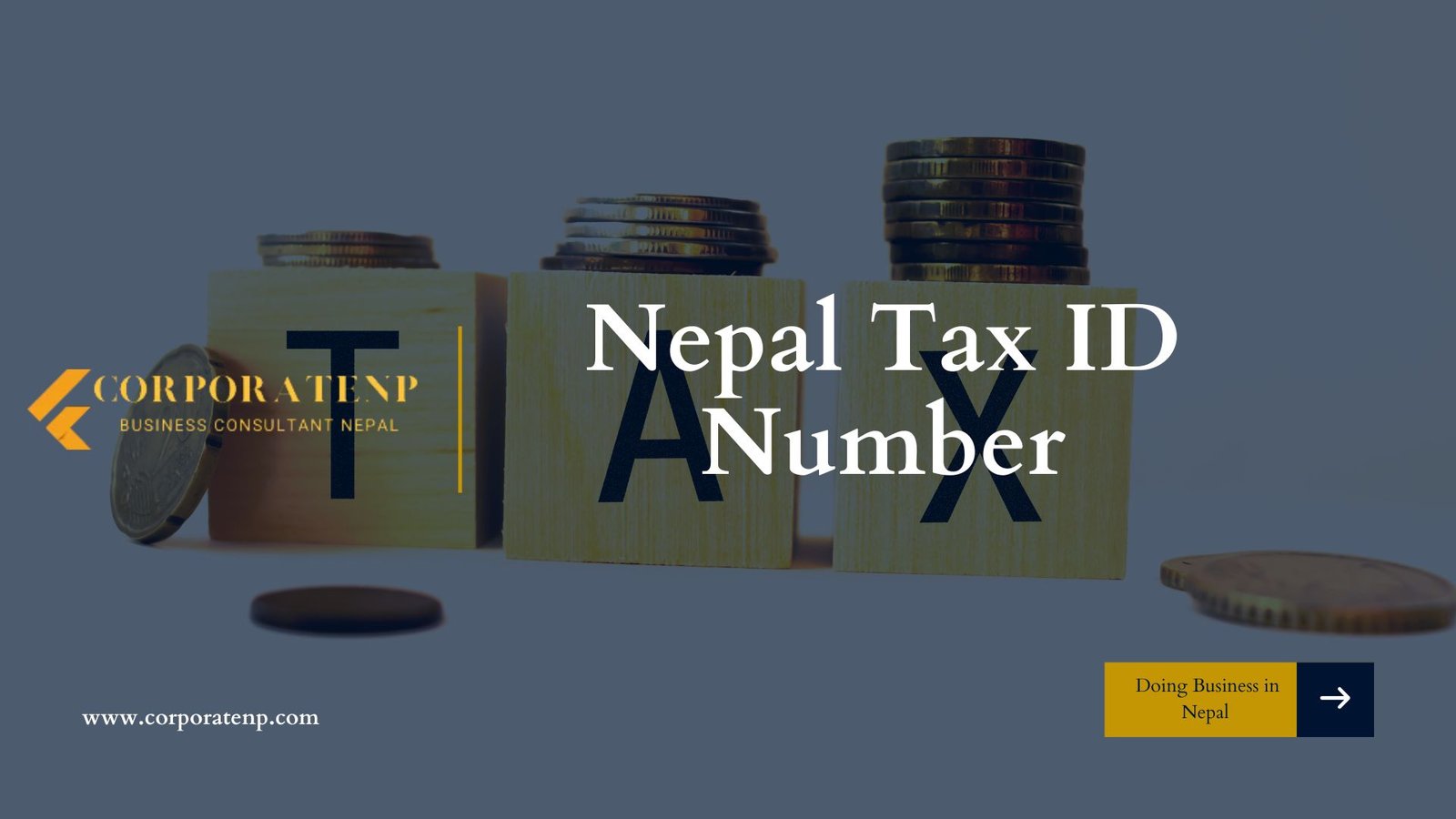 Nepal Tax ID Number