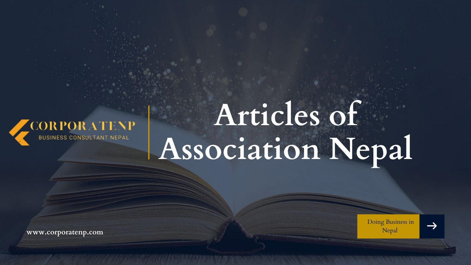 Articles of Association Nepal