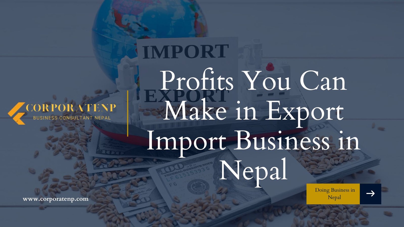 Profits You Can Make in Export Import Business in Nepal