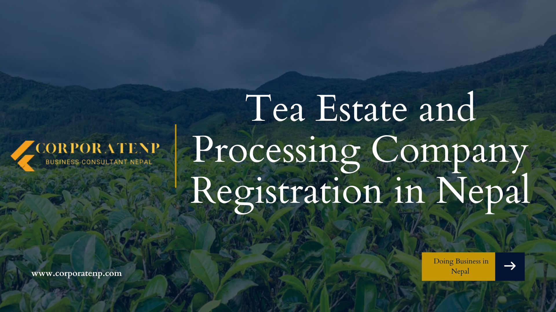 Tea Estate and Processing Company Registration in Nepal